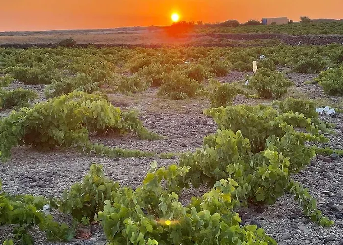 Zana's Villas-zenia Akrotírion