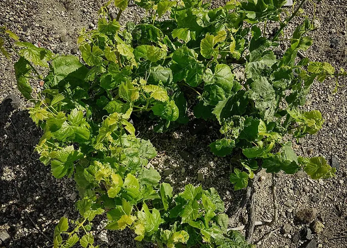 Zana's Villas-zenia Akrotírion